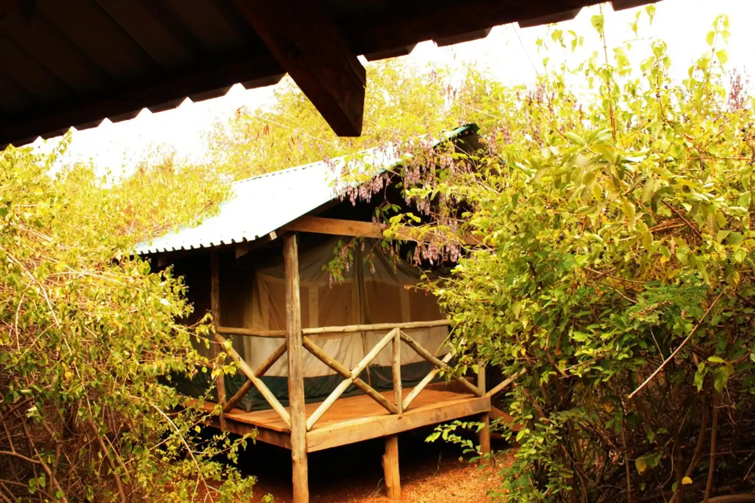 Tanari Trust campsite